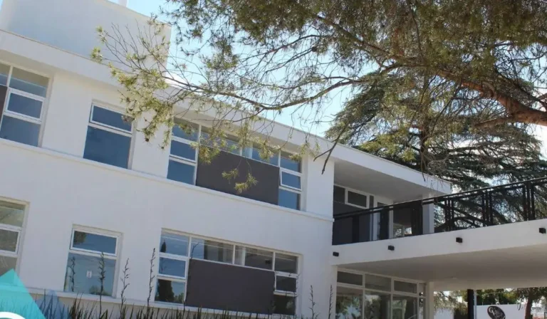 corporativo san felipe 768x448