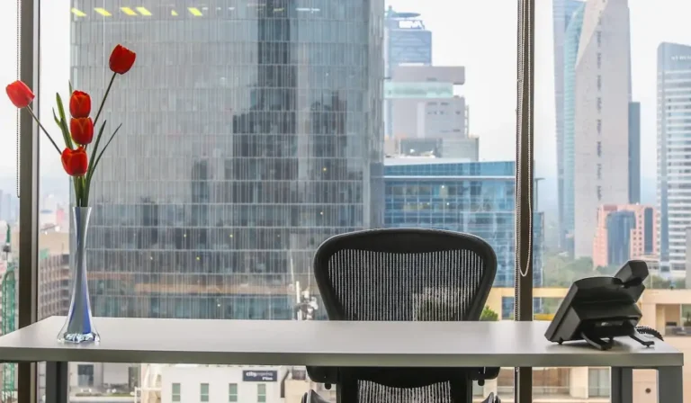 go offices 768x448