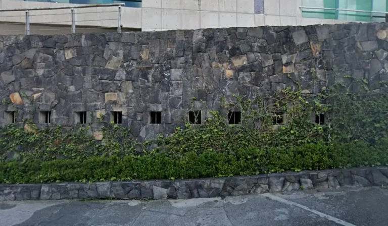 ivo pedregal 768x448