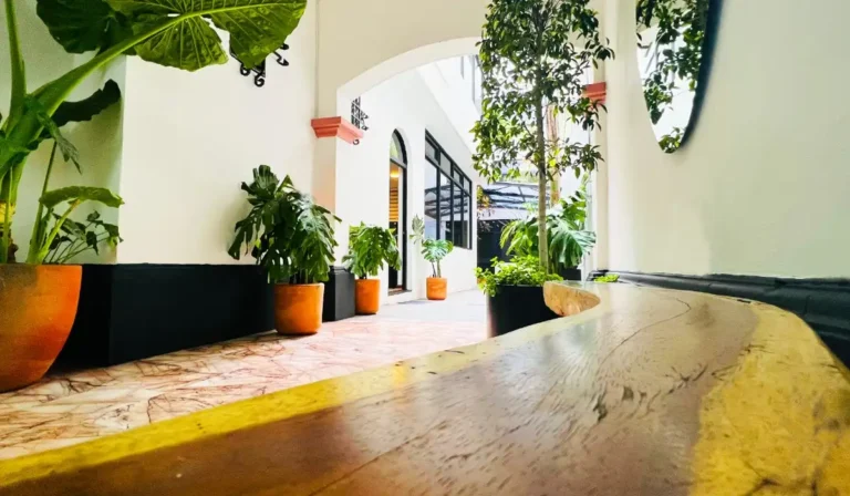 inhouse polanco 768x448