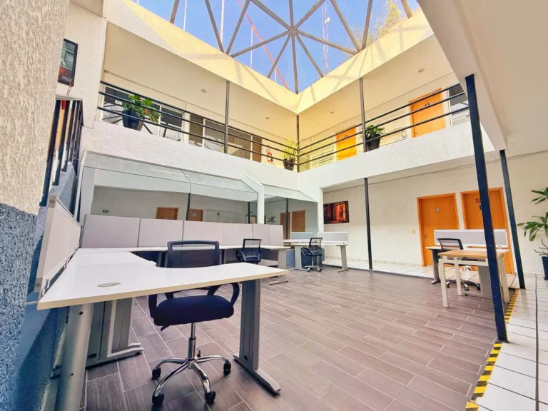 area minerva 768x576